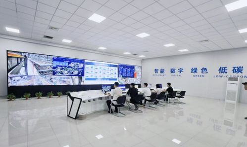 一座工廠的突圍之路 大連電瓷副董事長兼總經理應瑩庭與百年絕緣子企業(yè)的轉型智慧